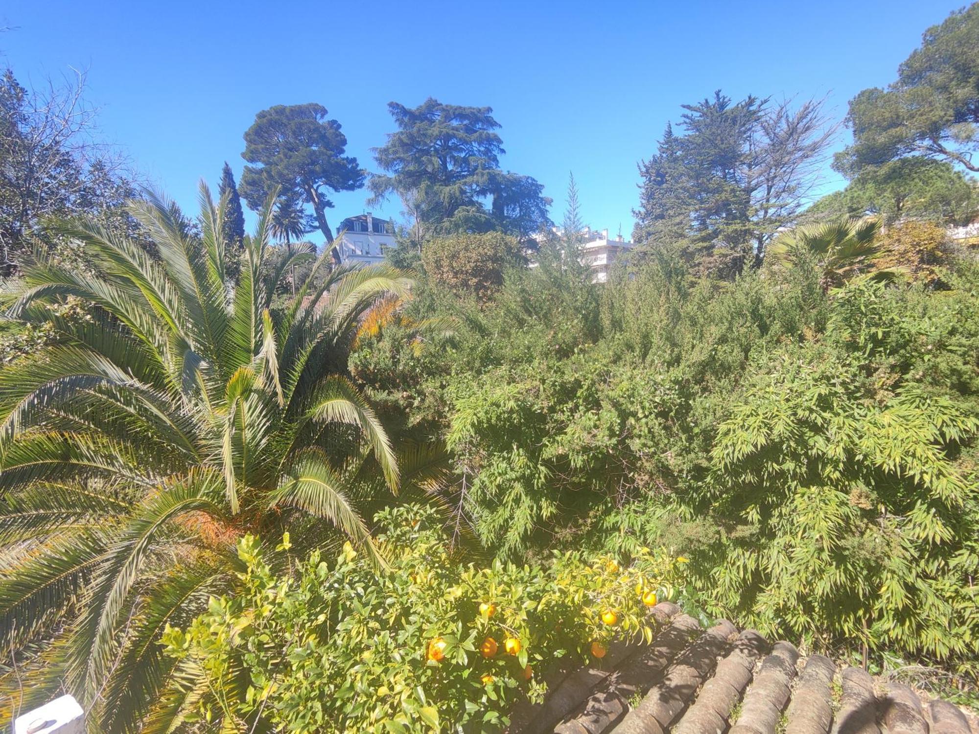 Grand T2 Avec Terrasse Ensoleillee Et Jacuzzi Au Calme Sans Vis A Vis Apartment Cannes Exterior photo