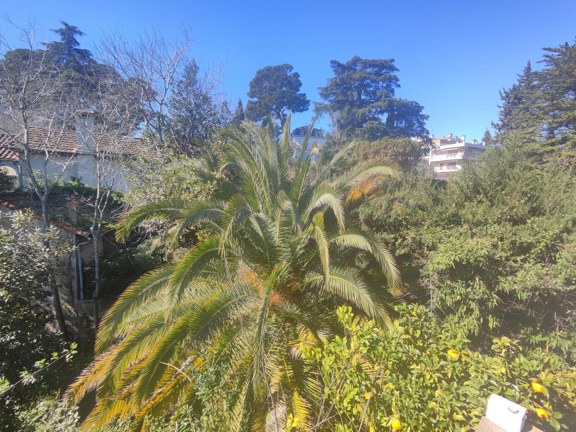 Grand T2 Avec Terrasse Ensoleillee Et Jacuzzi Au Calme Sans Vis A Vis Apartment Cannes Exterior photo